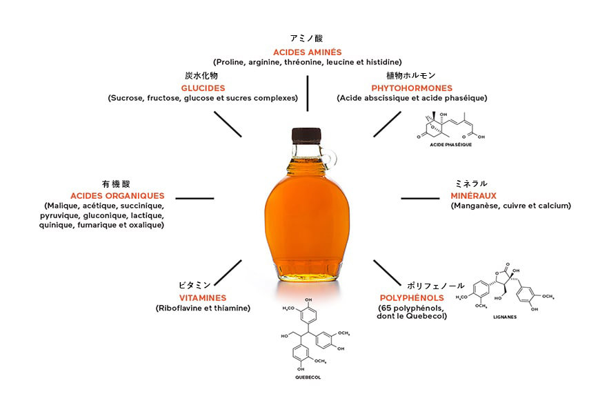 メープルシロップの栄養価